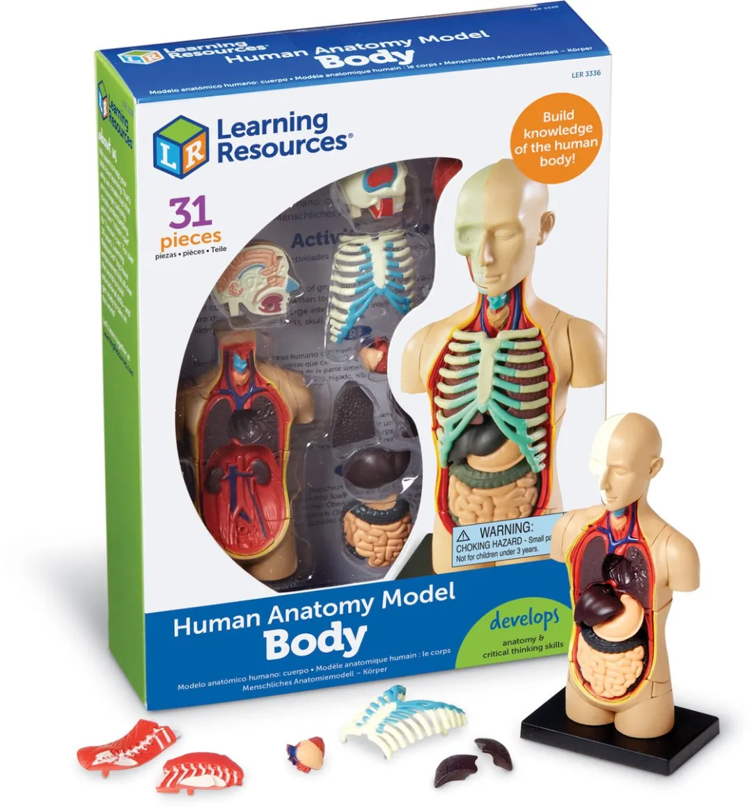 Learning Resources Human Body Torso Anatomie Set - 950LER3336