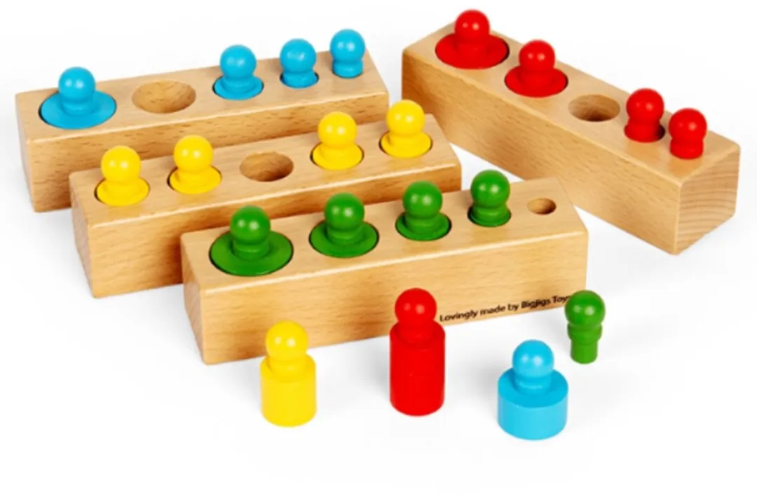 BIGJIGS Sorteerspel 24-delig