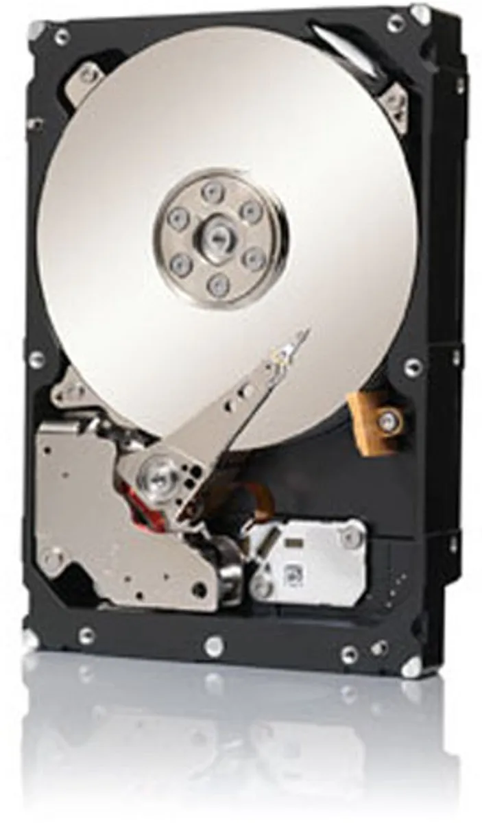 Seagate Constellation ES.3 ST1000NM0033 Harde Schijf 1TB - afbeelding 4 van 5
