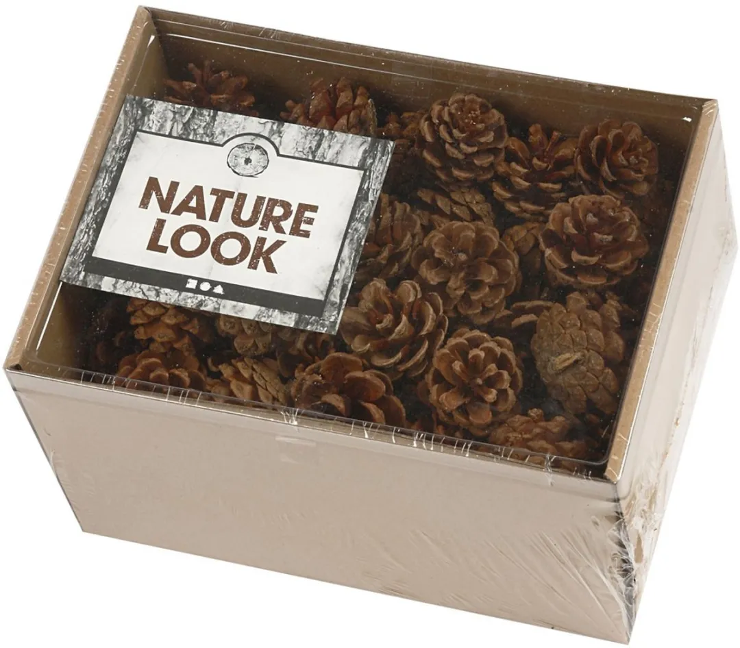 Creativ Company Dennenappels Natuurlijk Materiaal - 60 Stuks