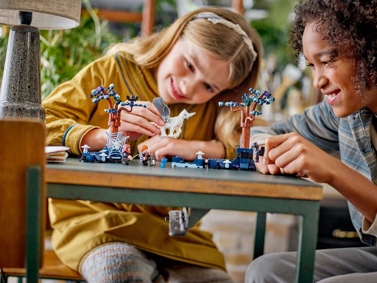 LEGO Harry Potter Verboden Bos: magische wezens - 76432