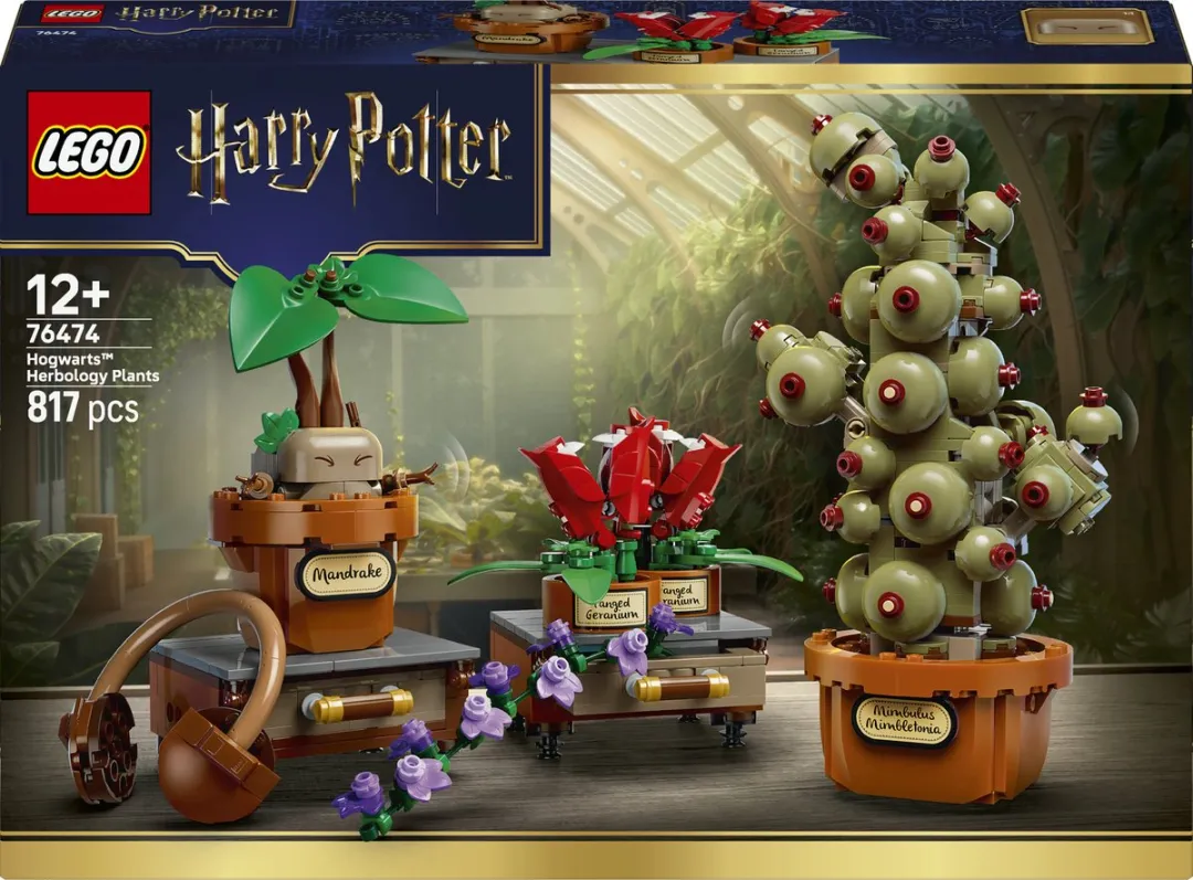 LEGO Harry Potter Kruidenkunde 76474 - 817 Stukken - Multicolor