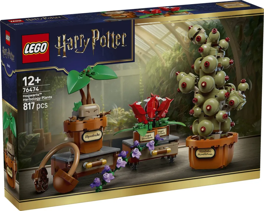 LEGO Harry Potter Kruidenkunde 76474 - 817 Stukken - Multicolor