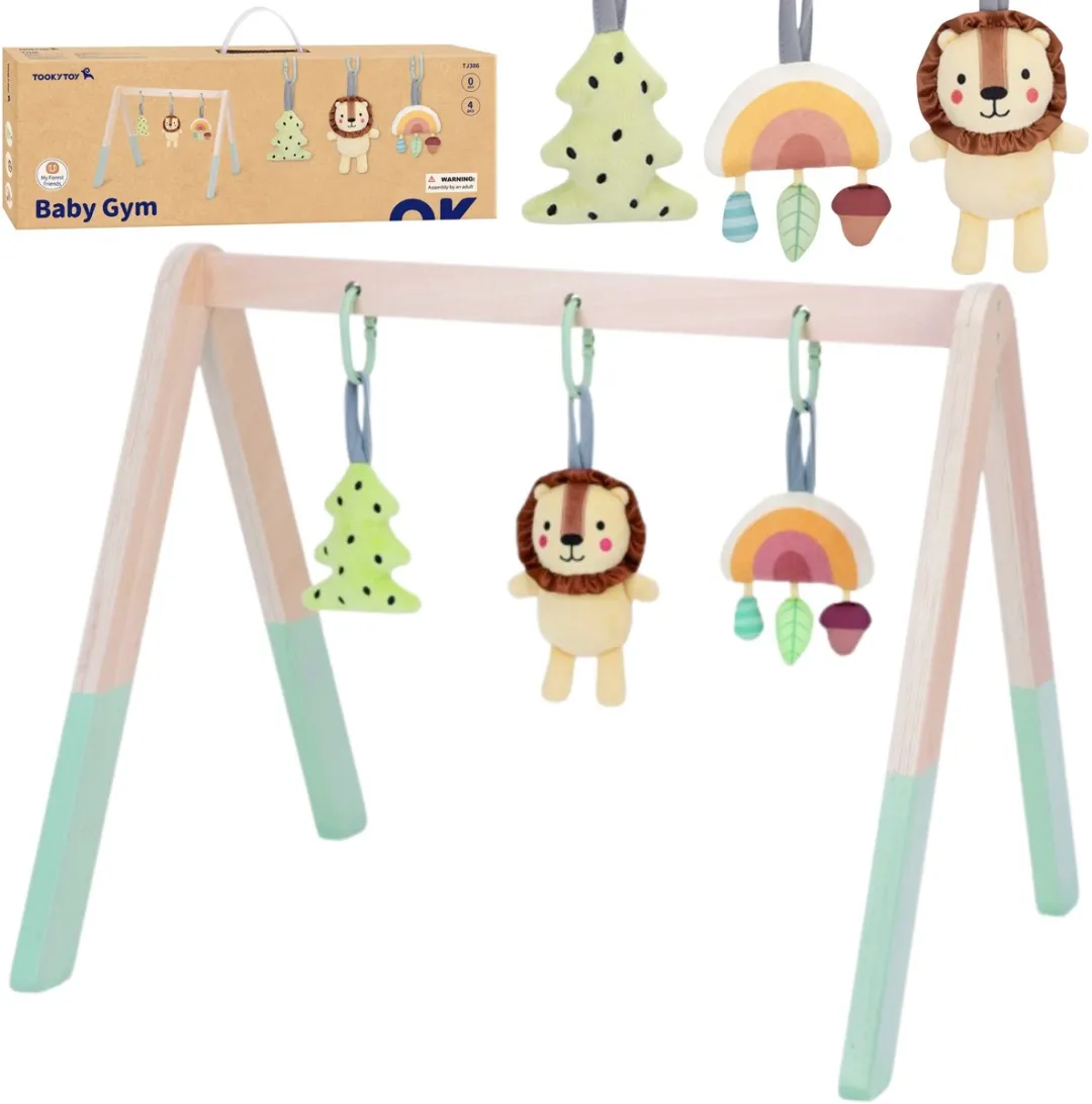 Tooky Toy Babygym Hout - 3 Speelelementen Multicolor