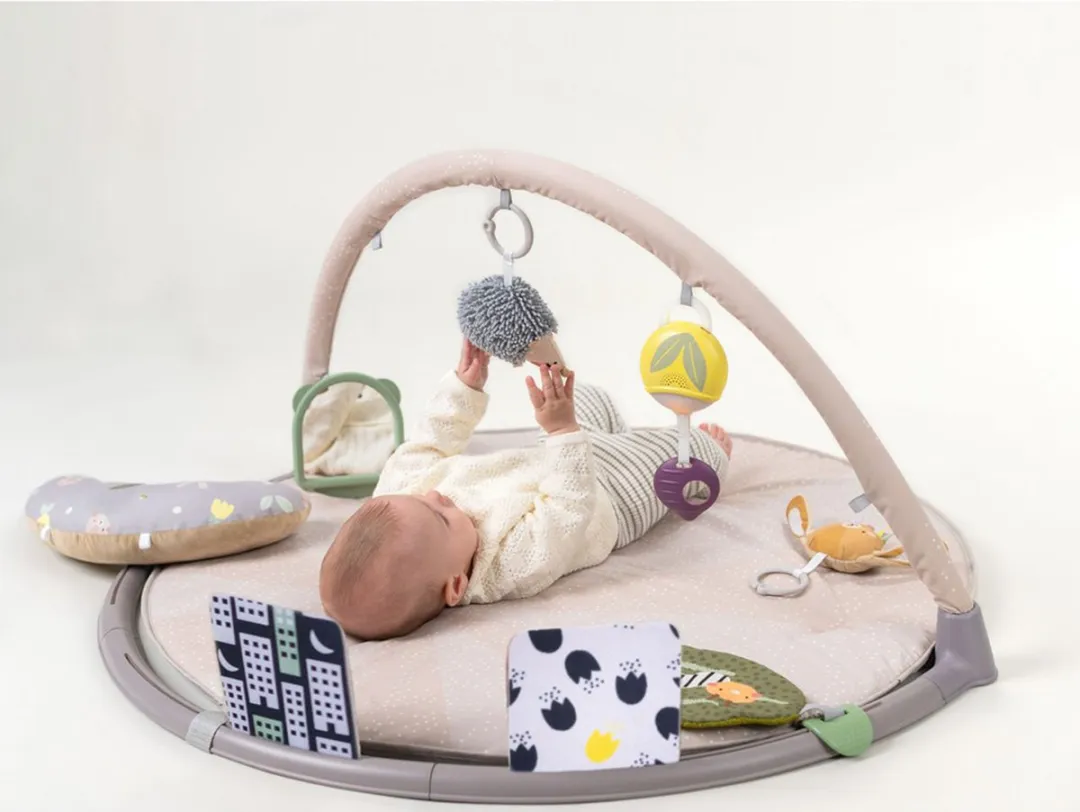 Taf Toys Activity Gym Tummy Time - Roze