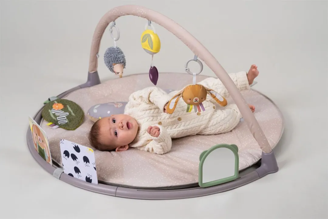 Taf Toys Activity Gym Tummy Time - Roze