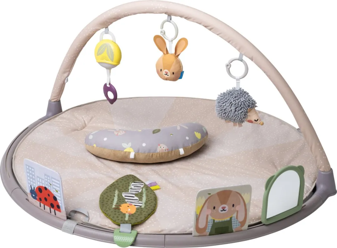 Taf Toys Activity Gym Tummy Time