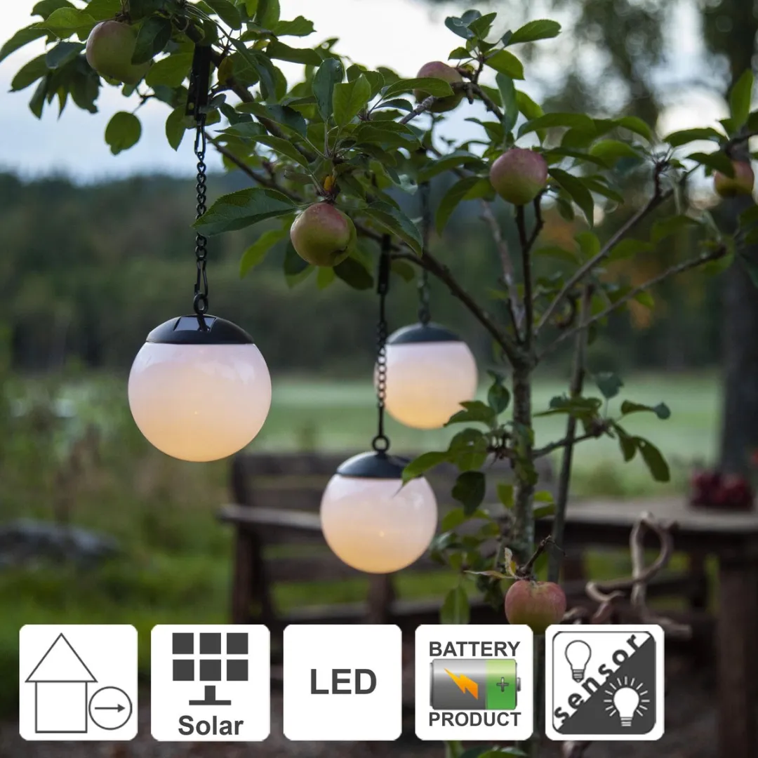 Star Trading Zonne-energie Globe Buitenlamp - Zwart