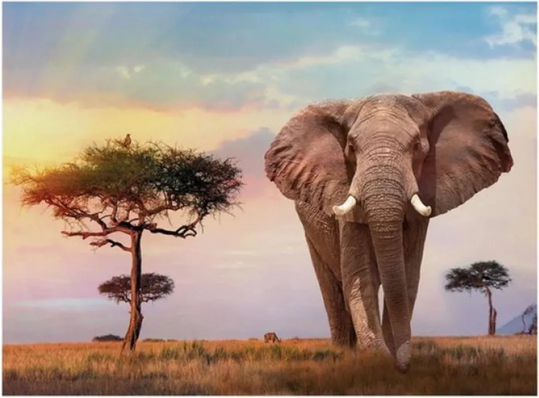 Clementoni African Sunset Puzzel 500 Stuks - Multikleur - afbeelding 2 van 6
