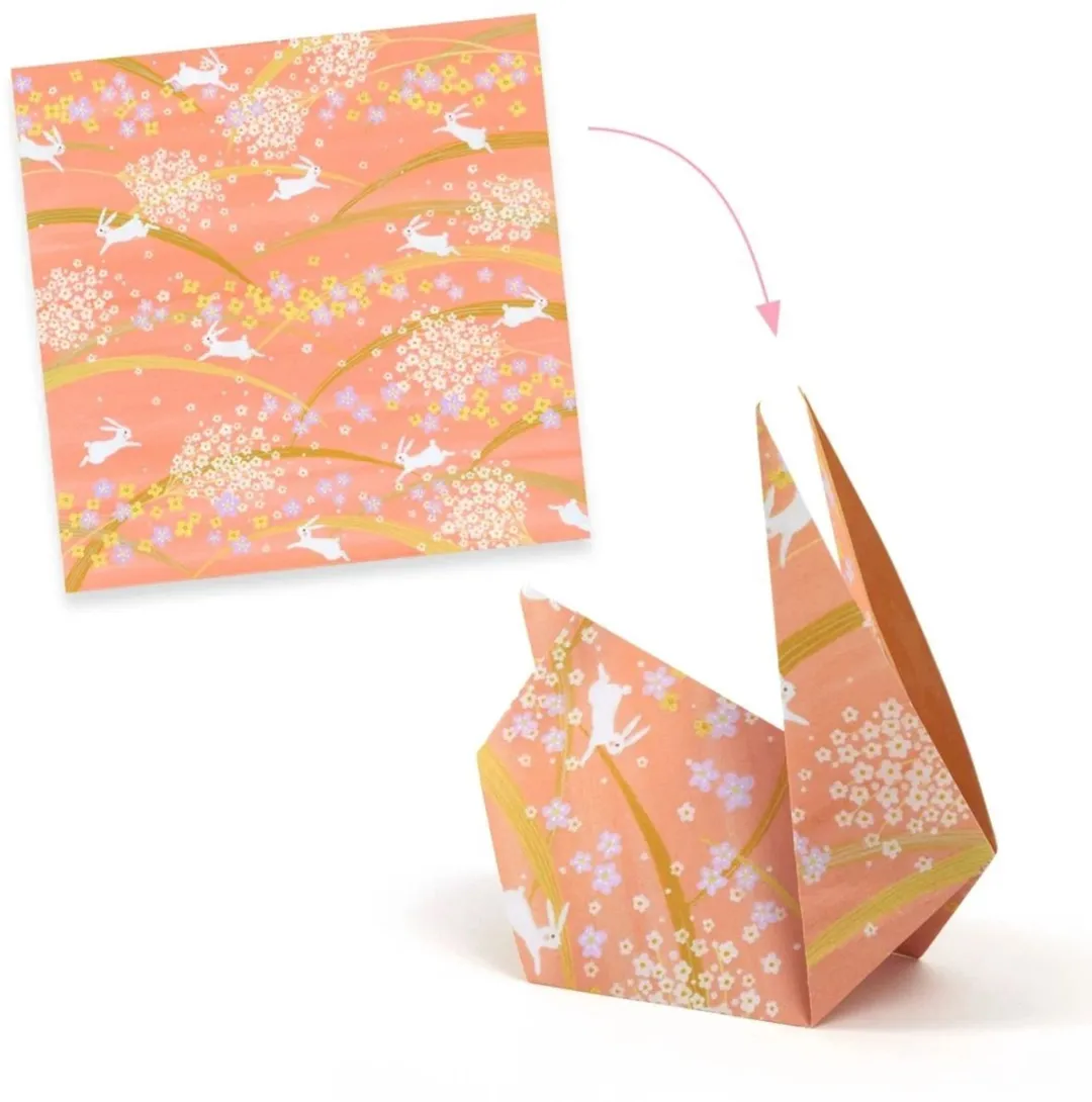 Djeco Haru Origami Papier - Multicolore