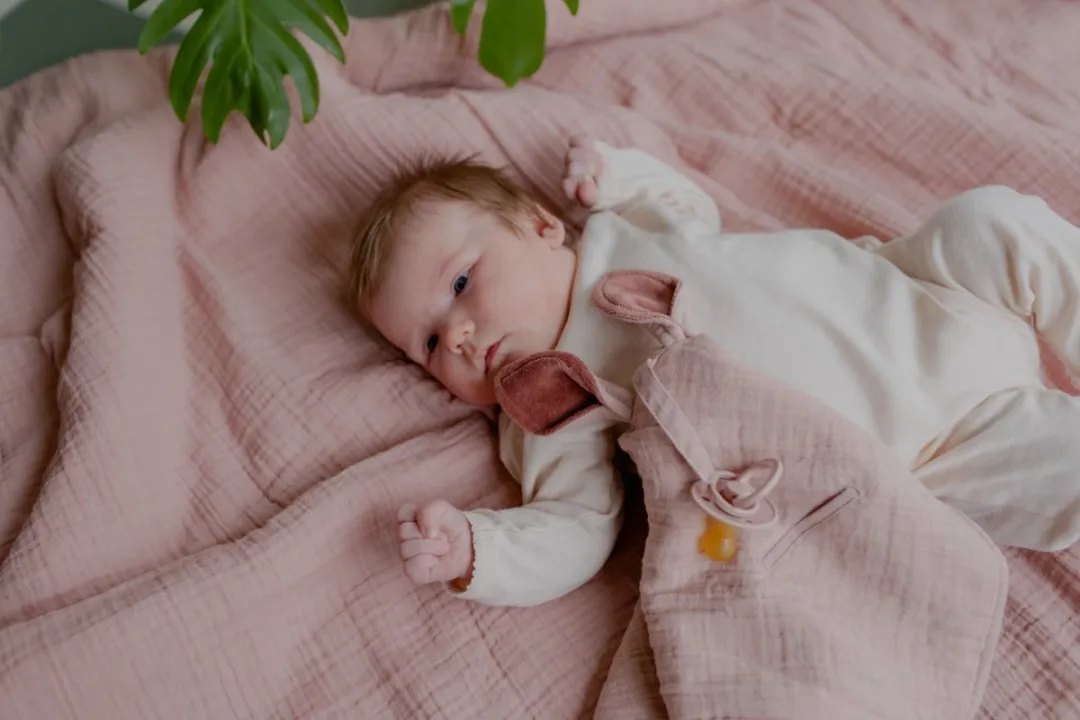 BIBS Cuddle Cloth Kangaroo Blush - 100% Katoen