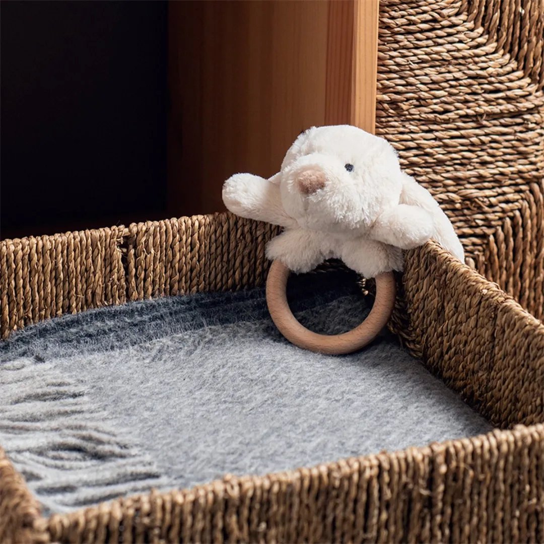 BIGJIGS Dreamy Dog Touch Ring Hond - 4 Stuks