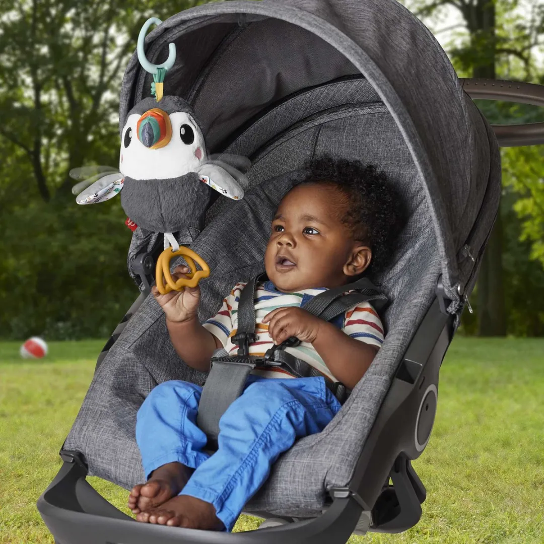 Fisher Price Fladder En Vlieg Toekan