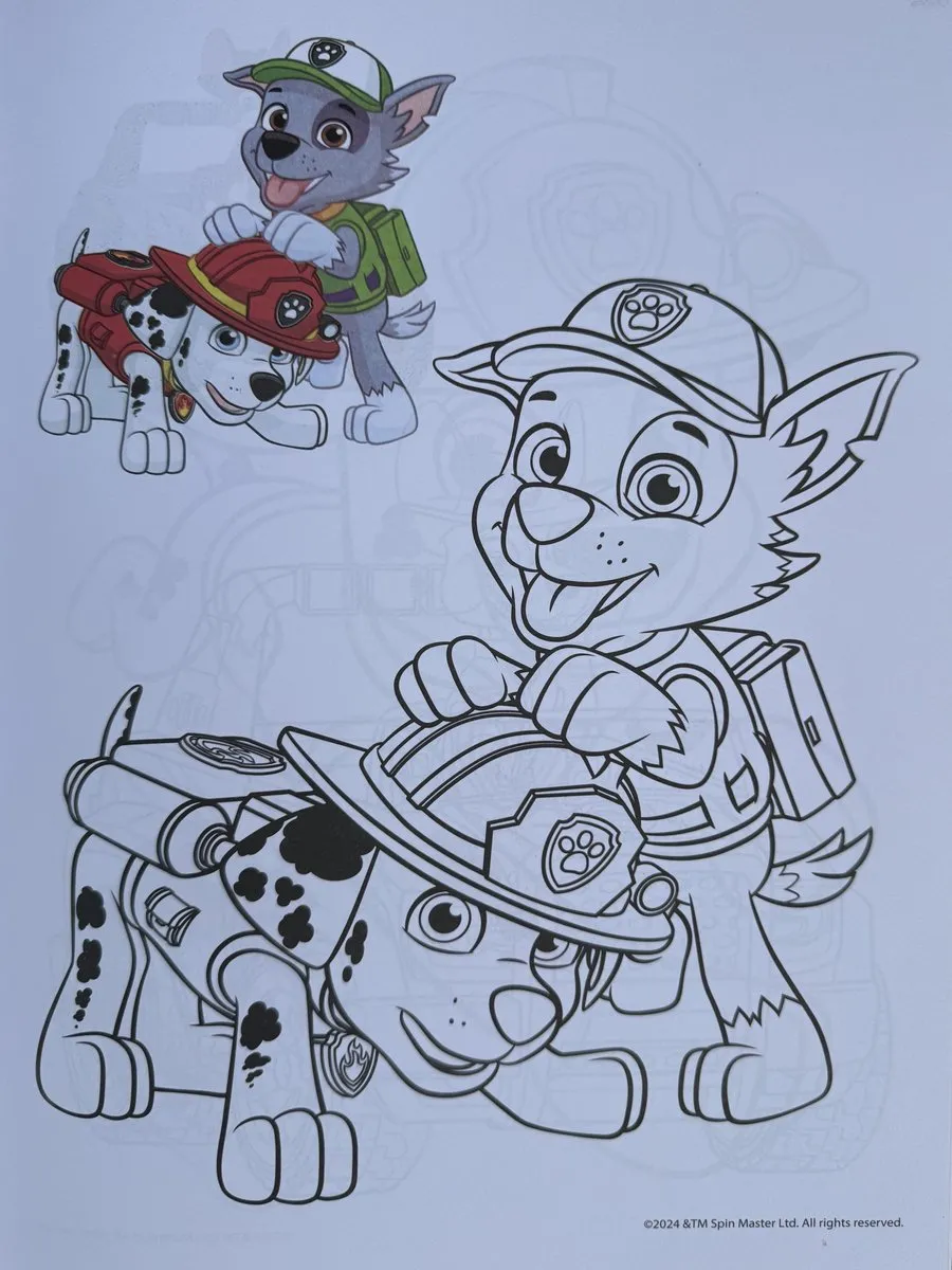 Nickelodeon Paw Patrol Kleurboek - 34 Pagina's - 2 Stickers - Blauw