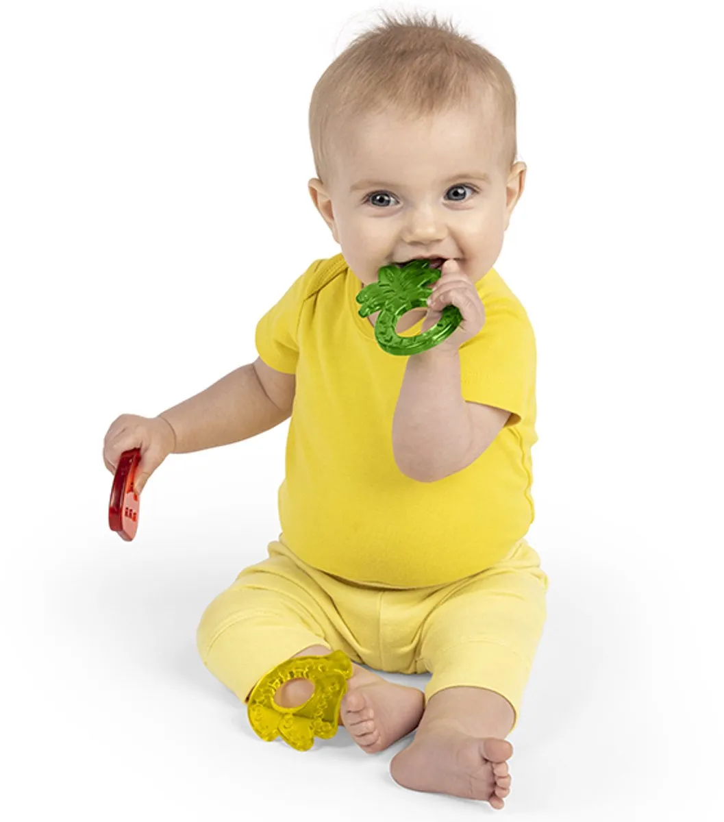 Bright Starts Baby Bijtring Fruitset 3 Stuks - Multicolor