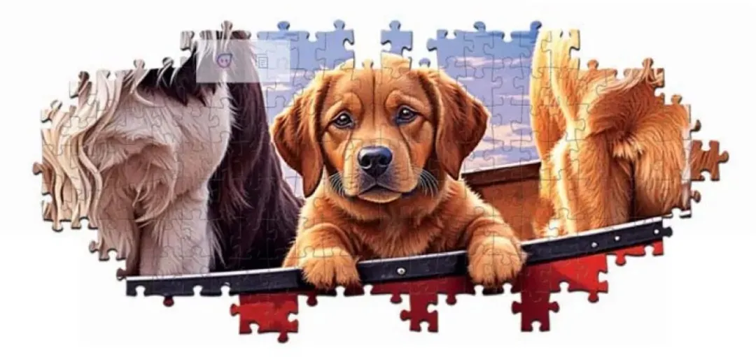 Educa Sunday with the Kids Legpuzzel 2000 Stuks - Meerkleurig