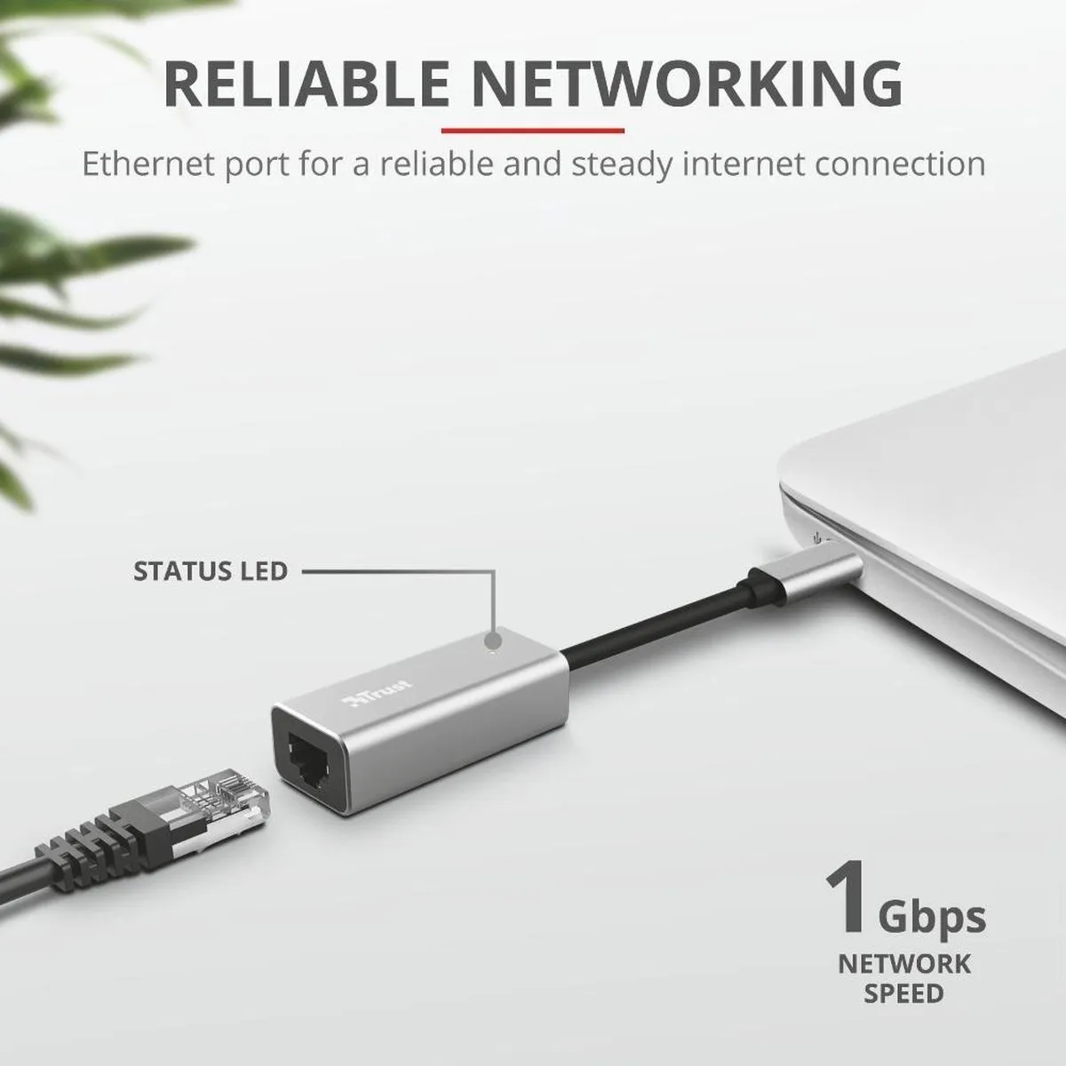 Trust Dalyx USB-C naar Ethernet Adapter 1000 Mbit/s - Grijs - afbeelding 6 van 6