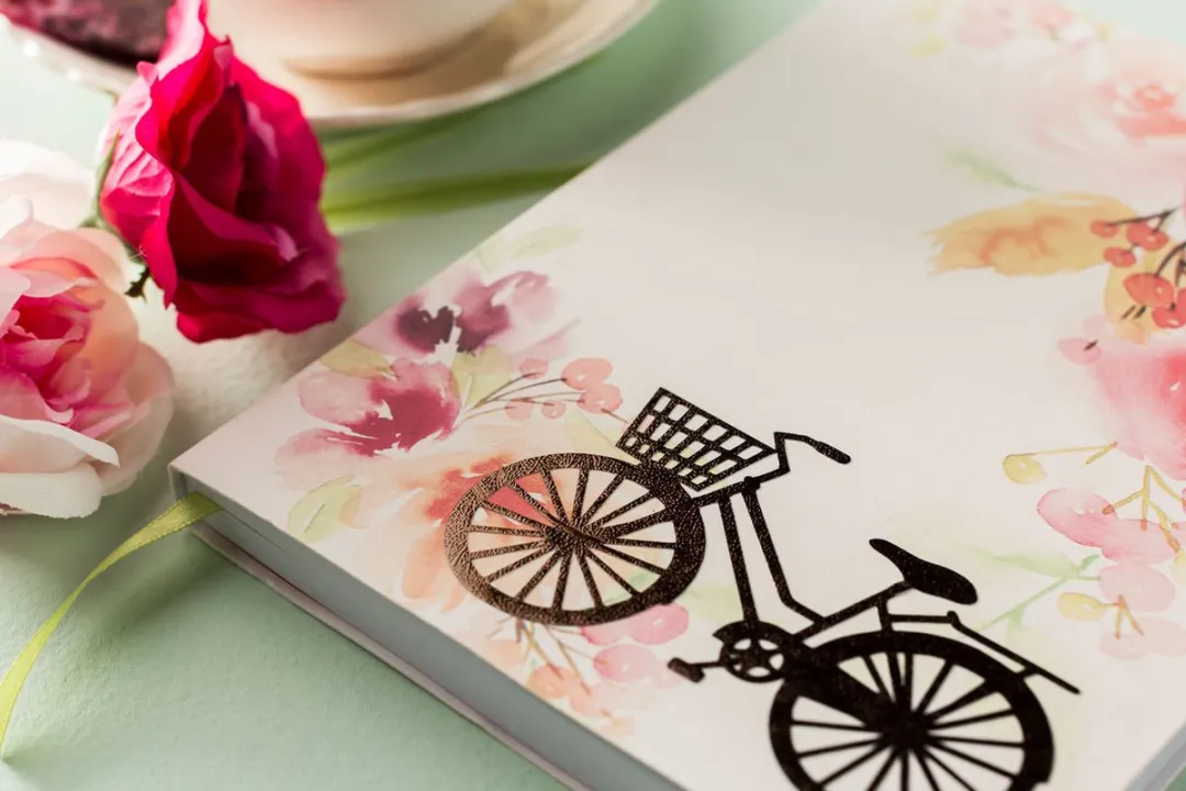 Cricut Maker Premium Vinyl Platina 30,5x122cm