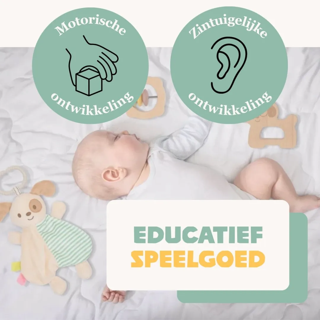 Tooky Toy Speelgoedset Baby 3-delig - Houten Rammelaar Hond Grijpspeeltje - afbeelding 6 van 6