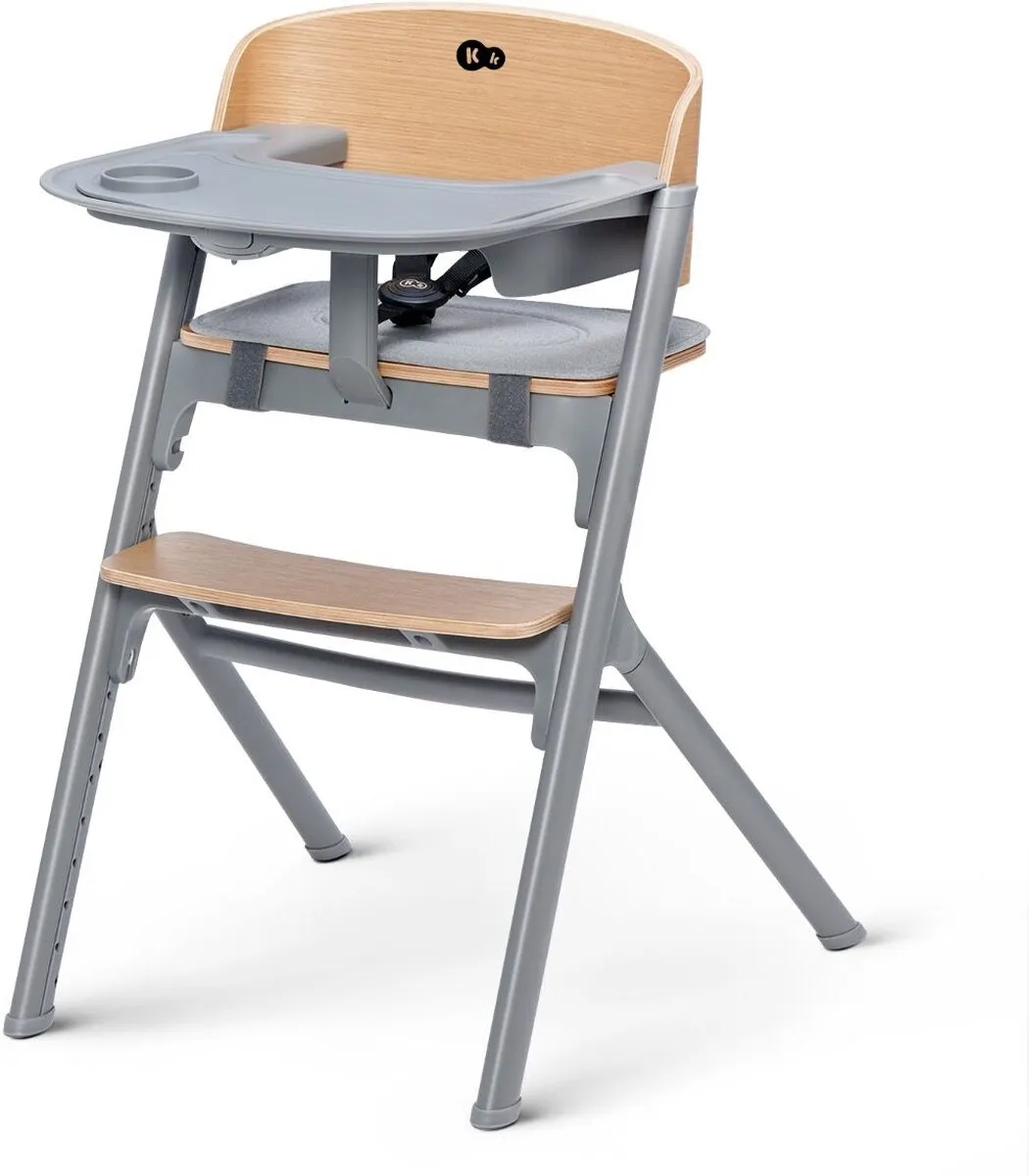 KinderKraft LIVY Kinderstoel 3-in-1