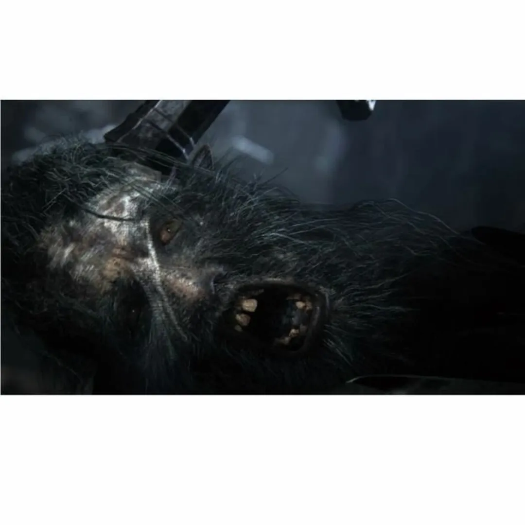 Sony Bloodborne PlayStation 4
