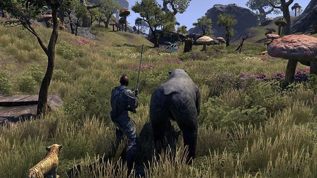 Bethesda The Elder Scrolls Online: Morrowind - Xbox One