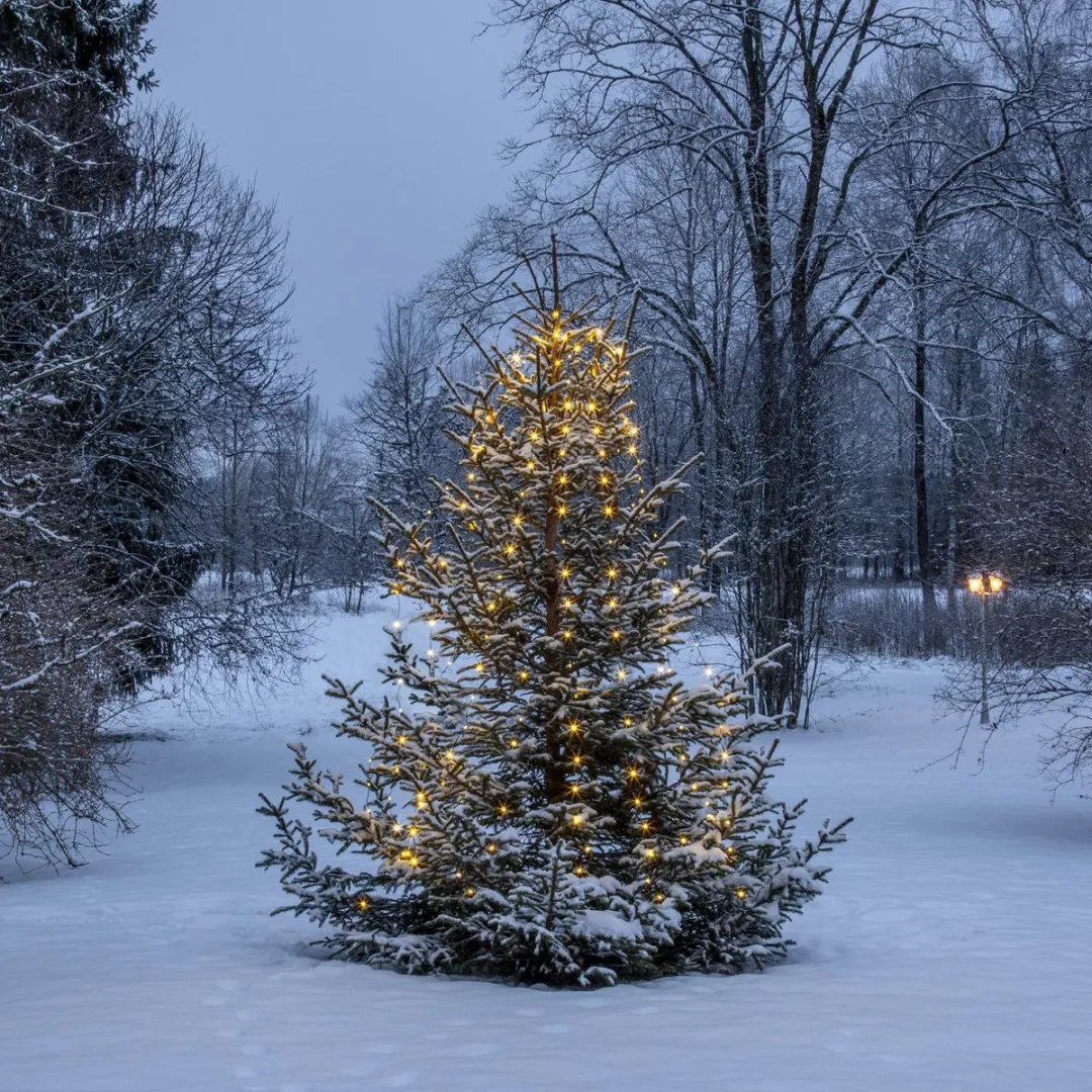 Star Trading Dew Drop Micro LED-lichtketting - 8 Strengen 160 LED - Groen - 2m - afbeelding 6 van 6