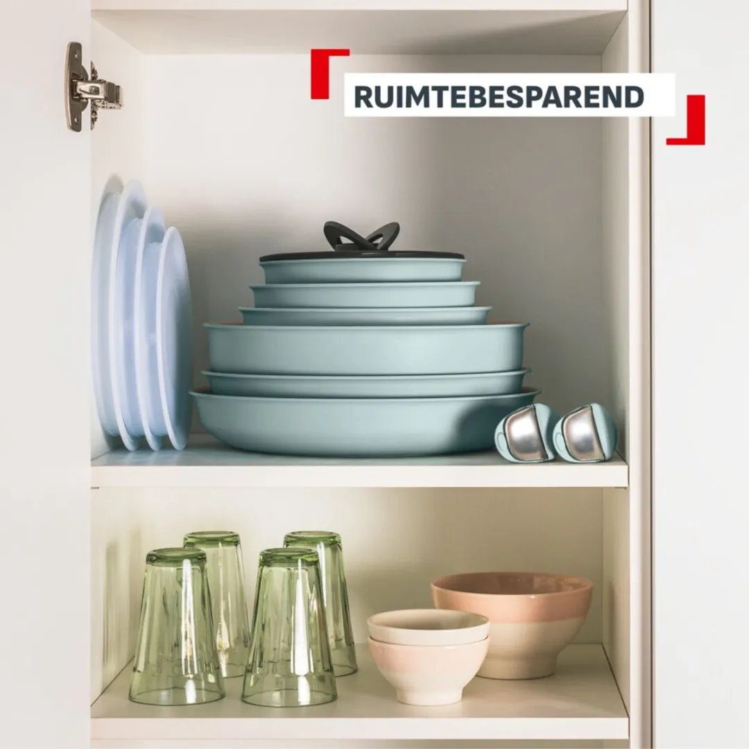 Tefal Ingenio Halo Eucalyptus Pannenset 15-delig - 5 Pannen