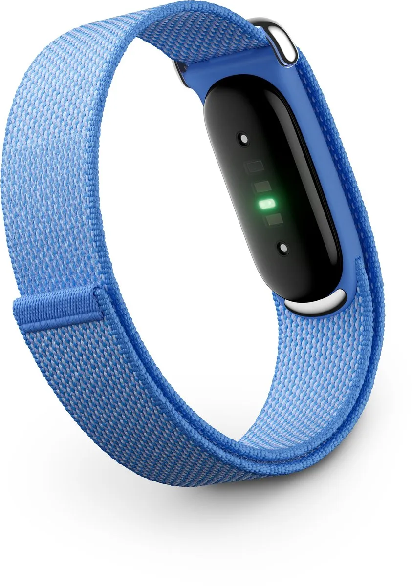Google Fitbit Air GA11014-EU Activity Tracker - Blauw/Paars