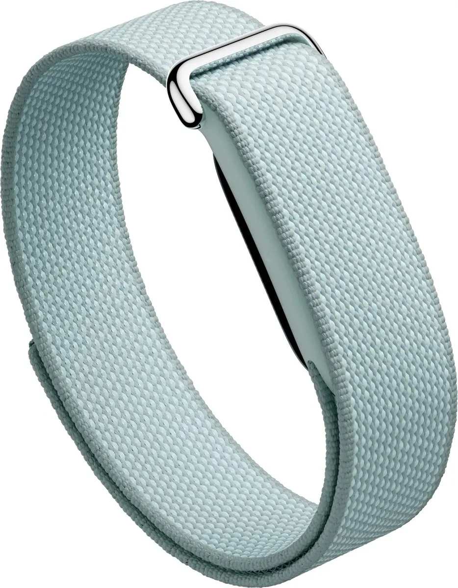 Google Fitbit Air Performance Loop Band