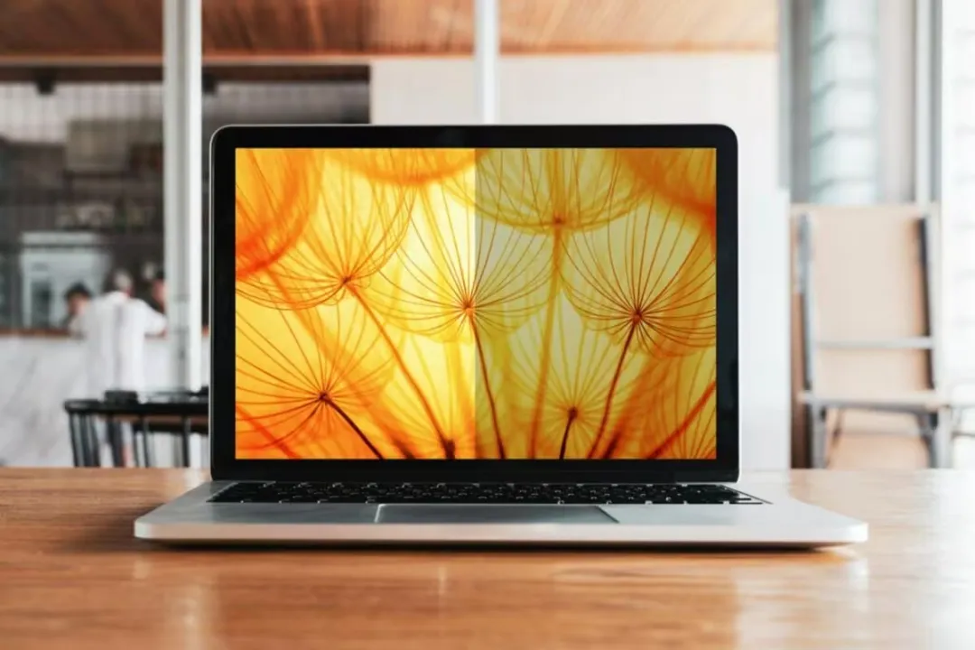 3M BP130C3E Privacyfilter 13" - Laptop