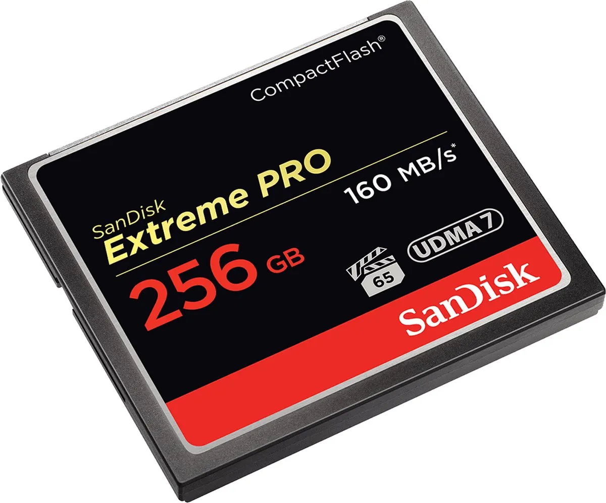SANDISK