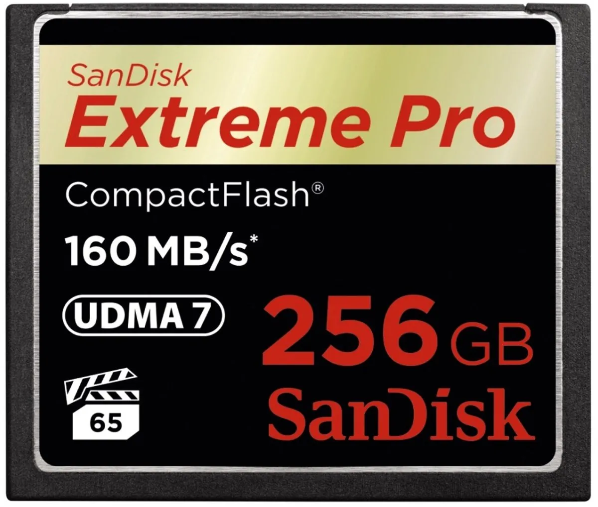 SANDISK - CompactFlash 256GB