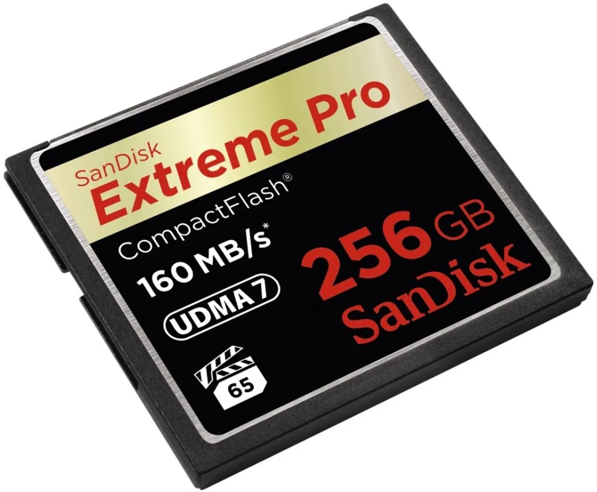 SANDISK - CompactFlash 256GB