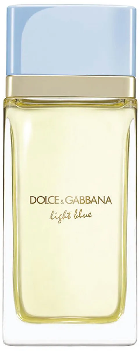 Uniseks Parfum Dolce & Gabbana LIGHT BLUE POUR FEMME 100 ml