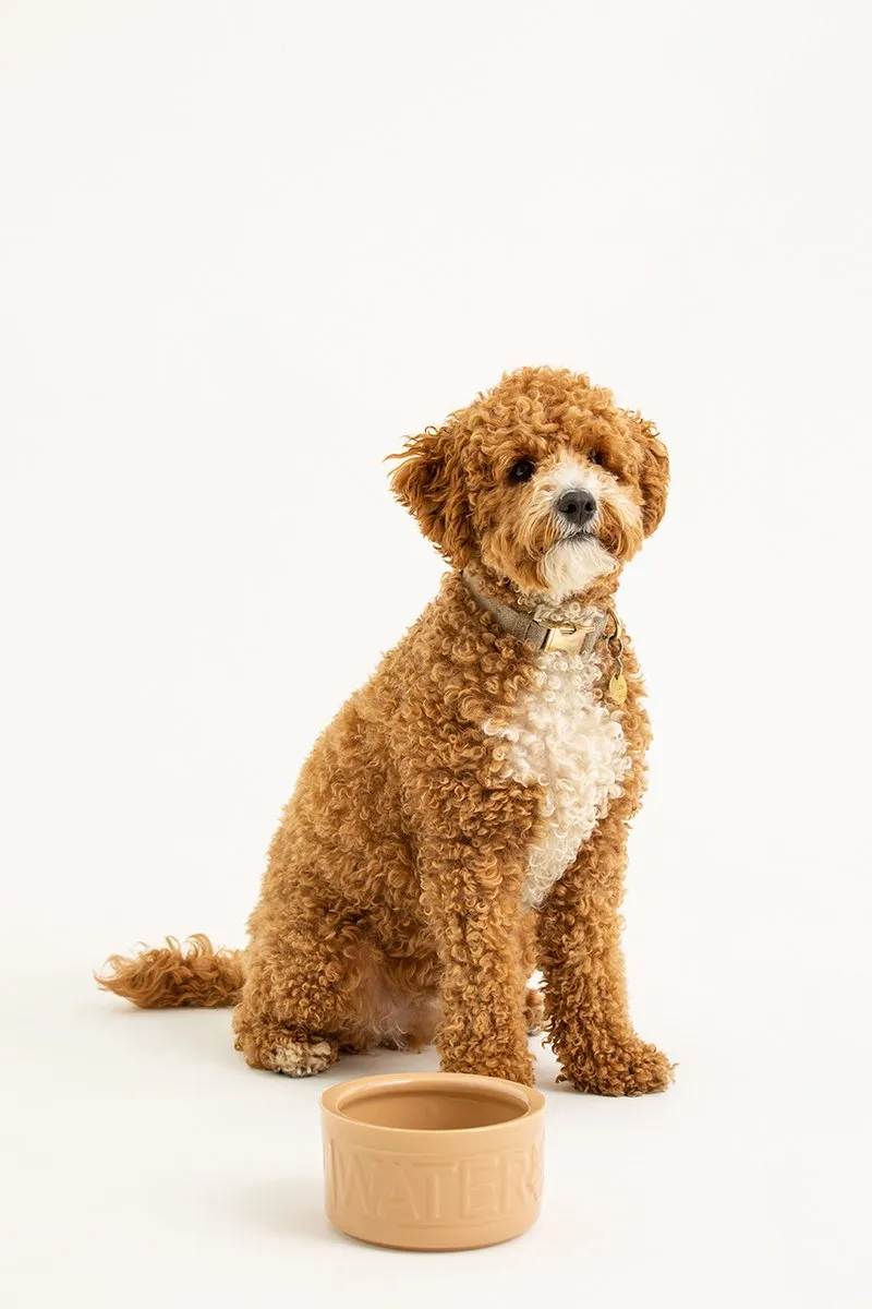 Mason Cash Cane Beletterde Hondendrinkbak Ø15cm - Crème
