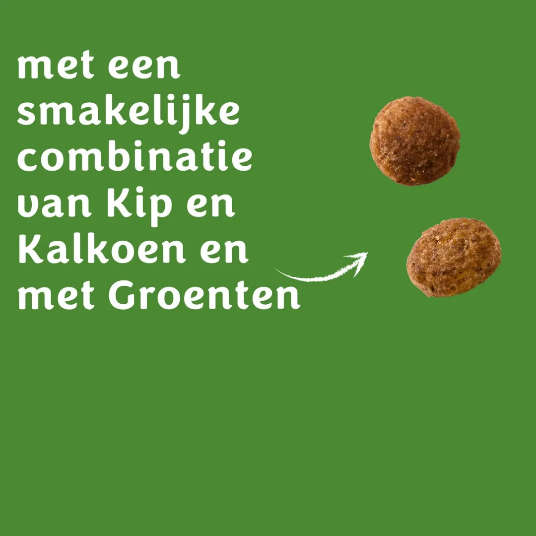 Purina Felix Dubbel Zo Lekker Junior Kip Kalkoen Groenten 800g