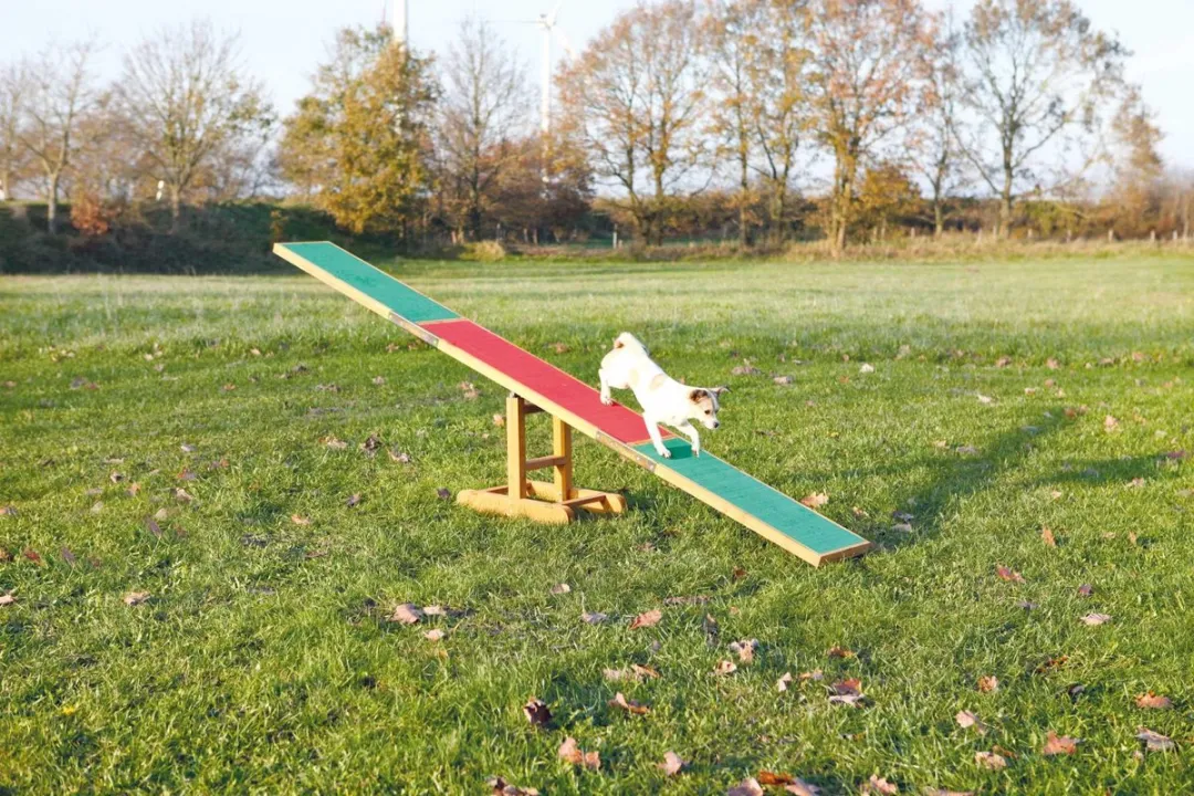 Trixie Agility Wip 300x34x54cm - Rood/ Groen - afbeelding 5 van 6