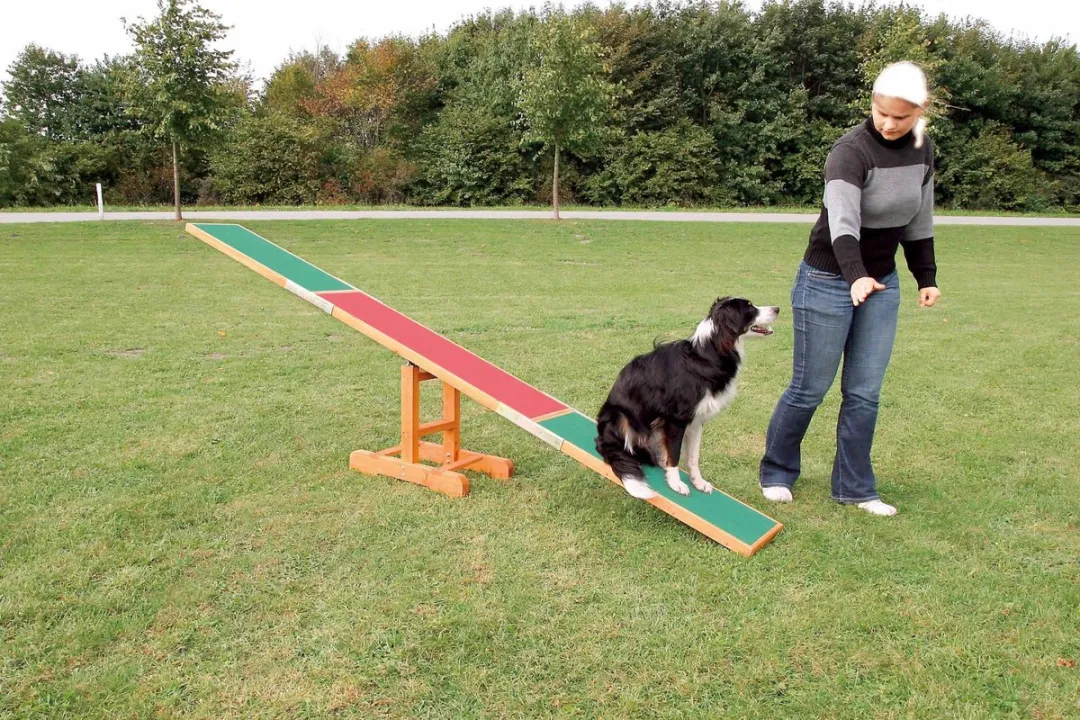 Trixie Agility Wip 300x34x54cm - Rood/ Groen - afbeelding 6 van 6