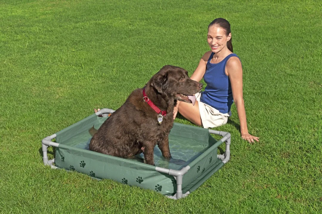 Bestway Fetchin' Fun Speelbad en Bed - Groen - afbeelding 2 van 6
