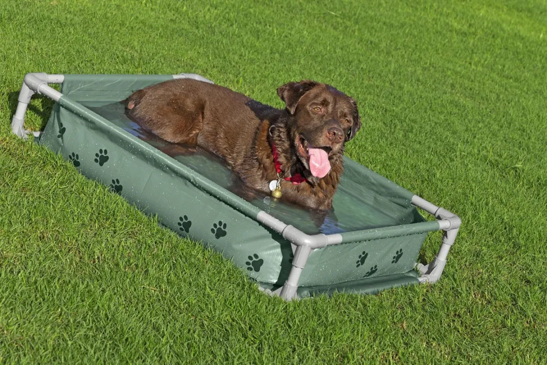 Bestway Fetchin' Fun Speelbad en Bed - Groen - afbeelding 3 van 6