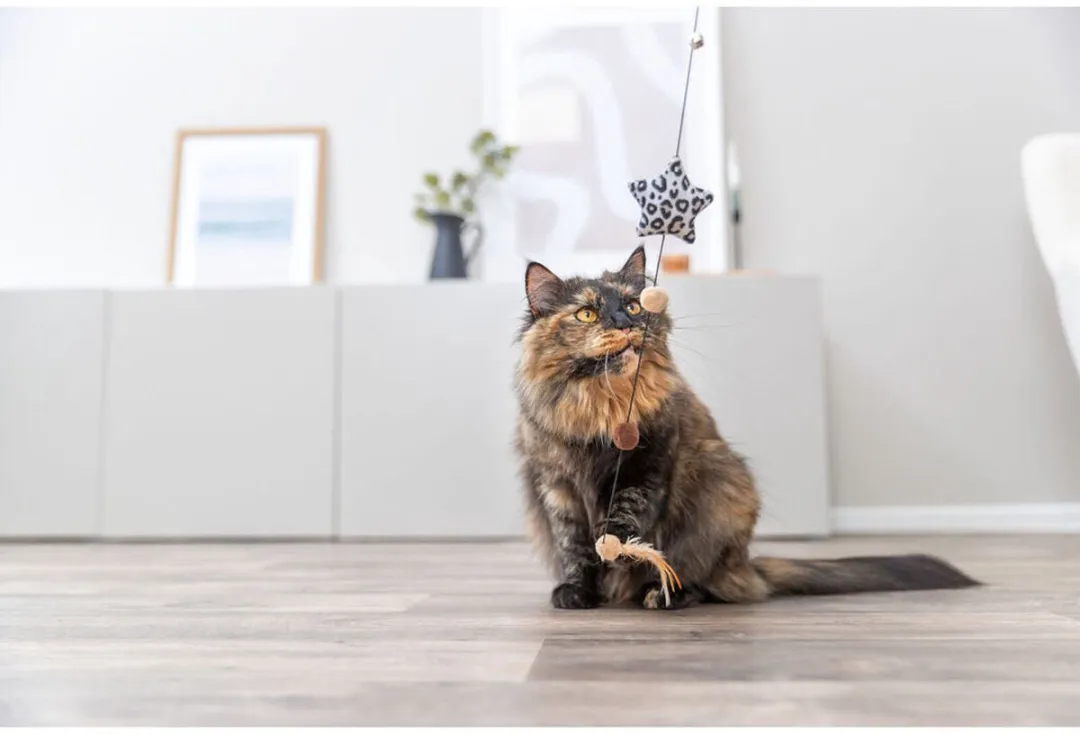 Trixie Kattenspeeltje Bruin Beige Polyester