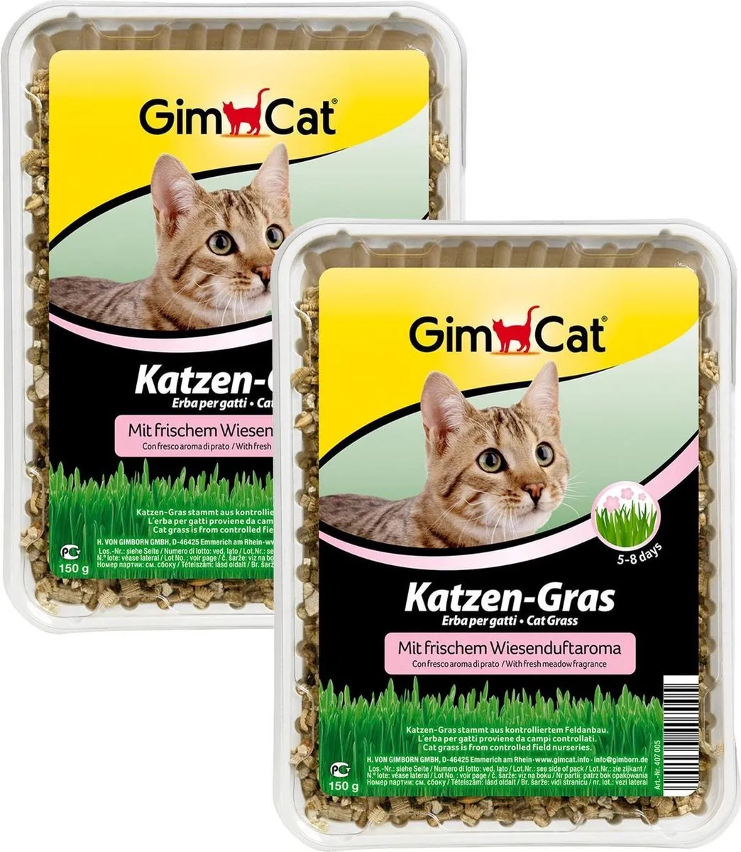 GimCat Gimpet Kattengras 300g