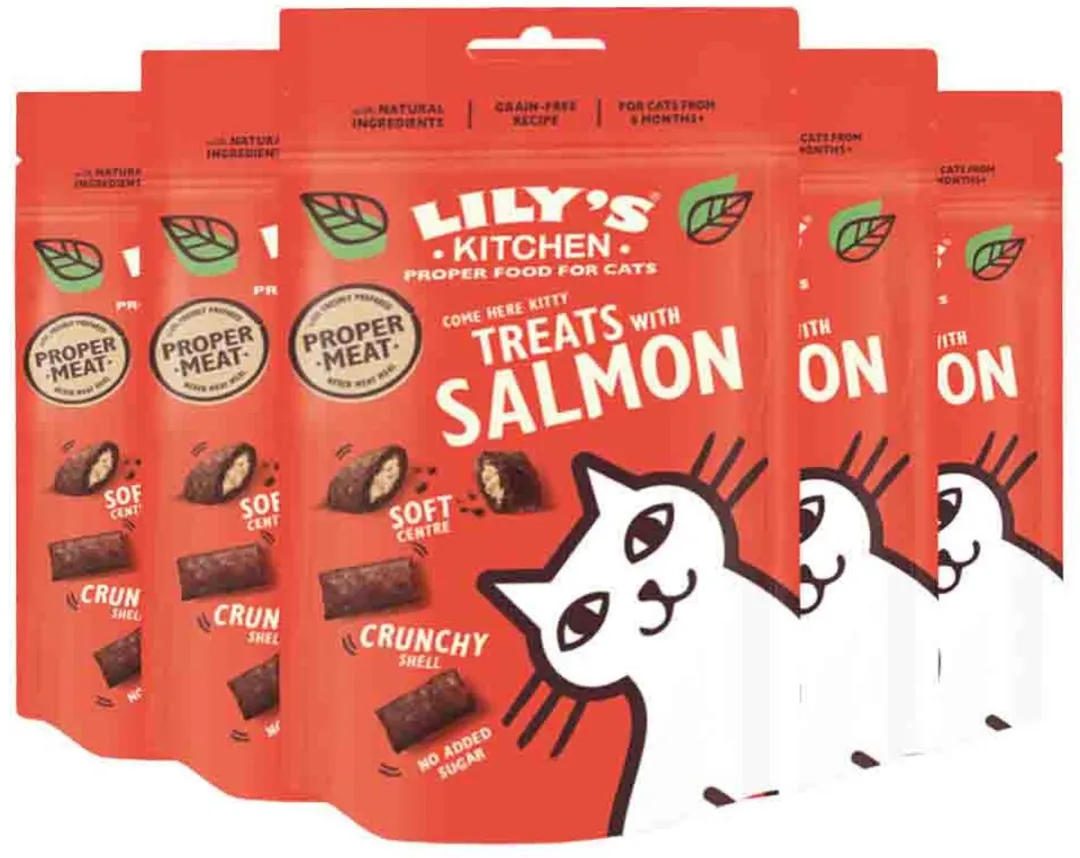 Lily's Kitchen Kattensnacks Zalm - 300g (5x60g)
