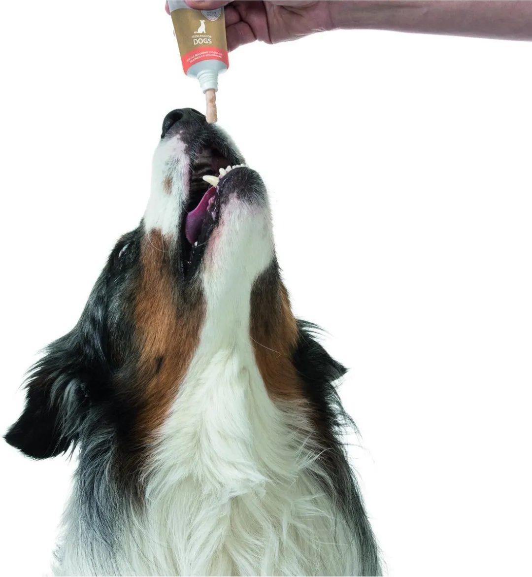 Prins Train&Care Hond Salmon 75g - afbeelding 6 van 6