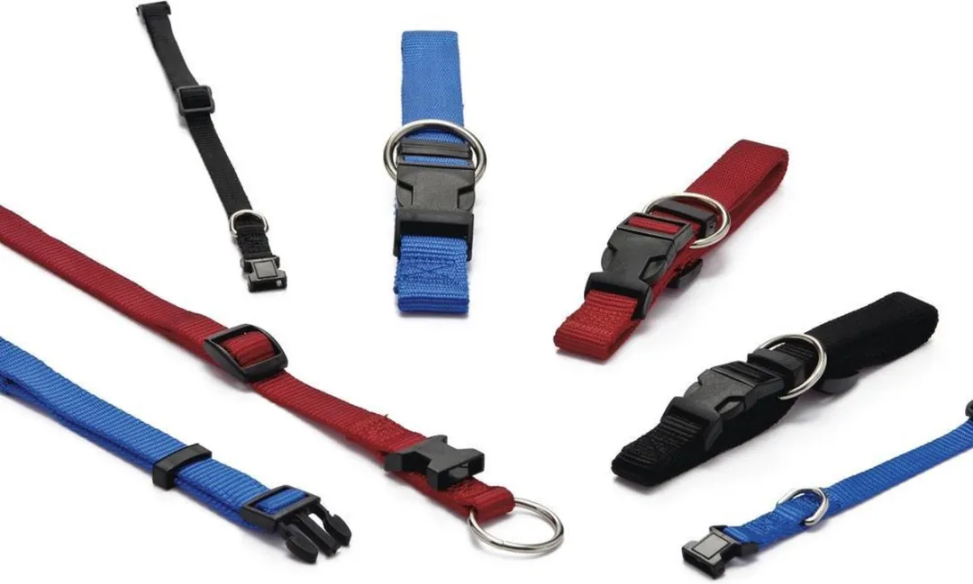 Beeztees Halsband Hond Zwart 22-35cm x 10mm - afbeelding 2 van 2