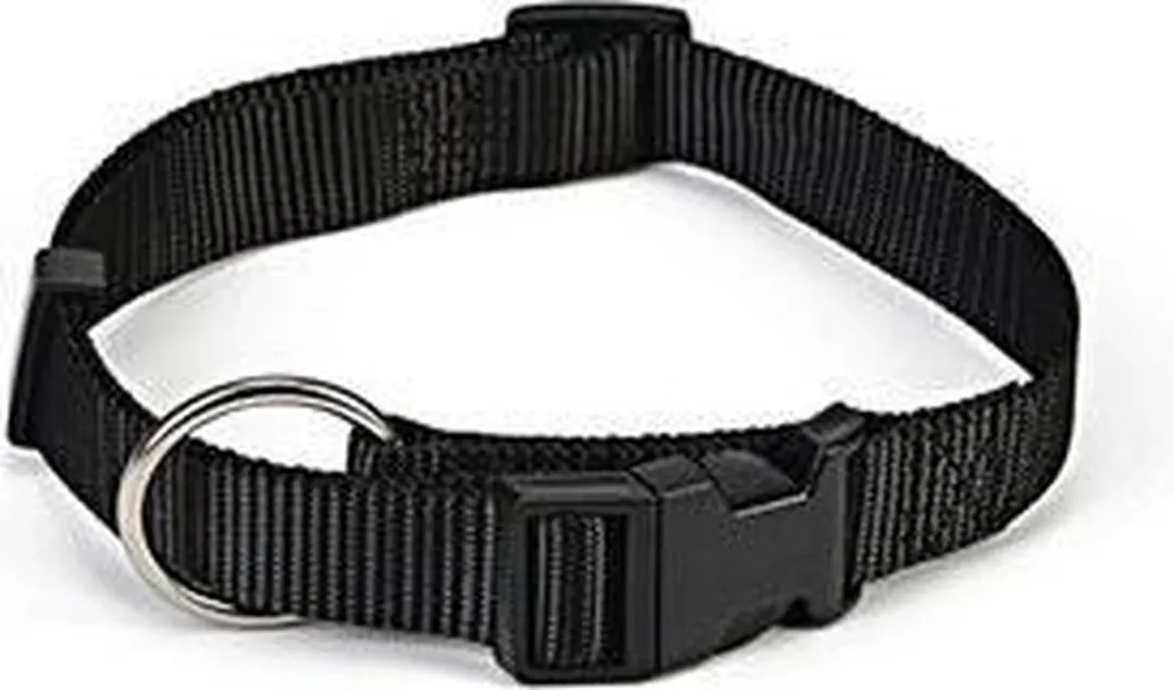 Beeztees Halsband Hond Zwart 22-35cm x 10mm