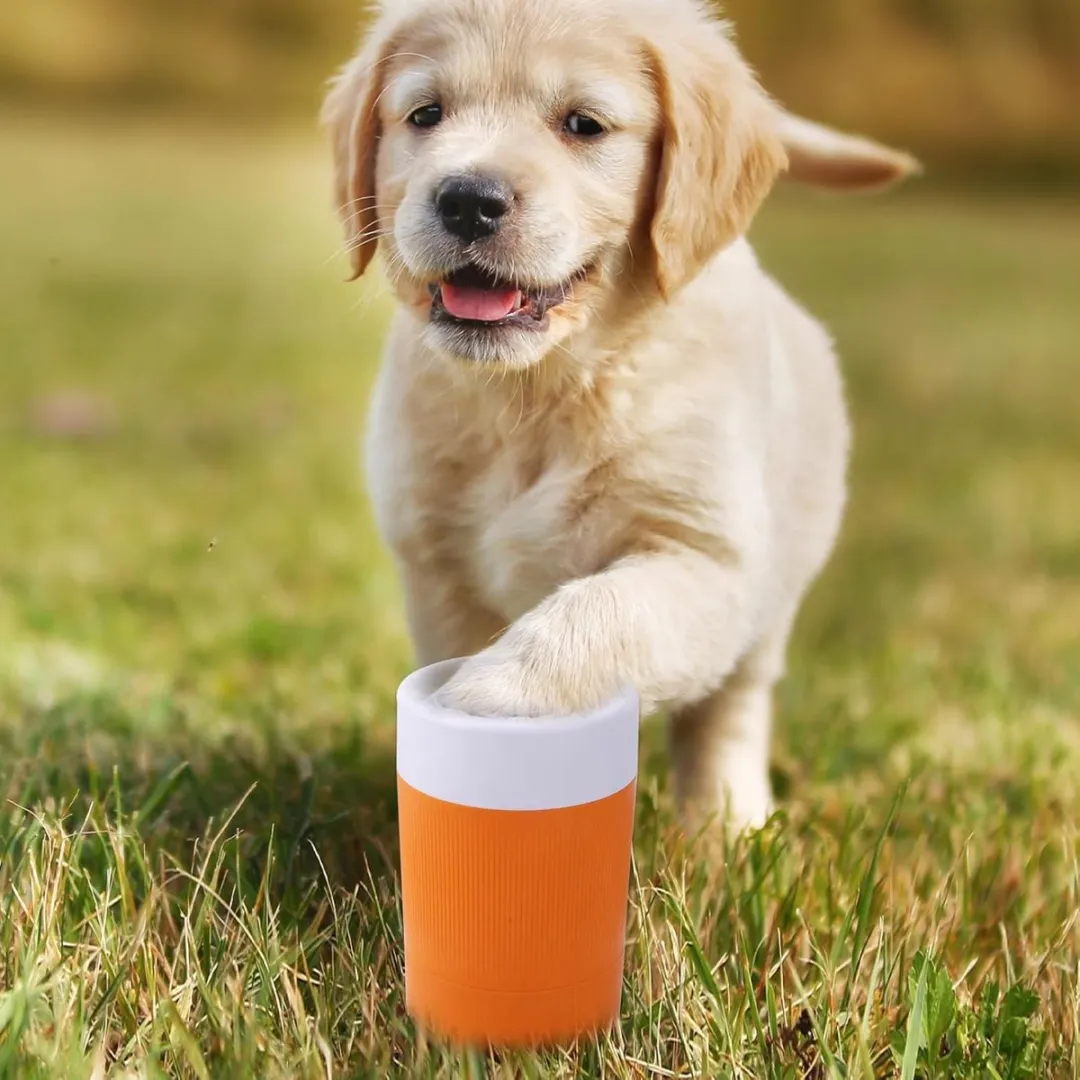 ECTEATOY Pootwasser Huisdieren - Oranje