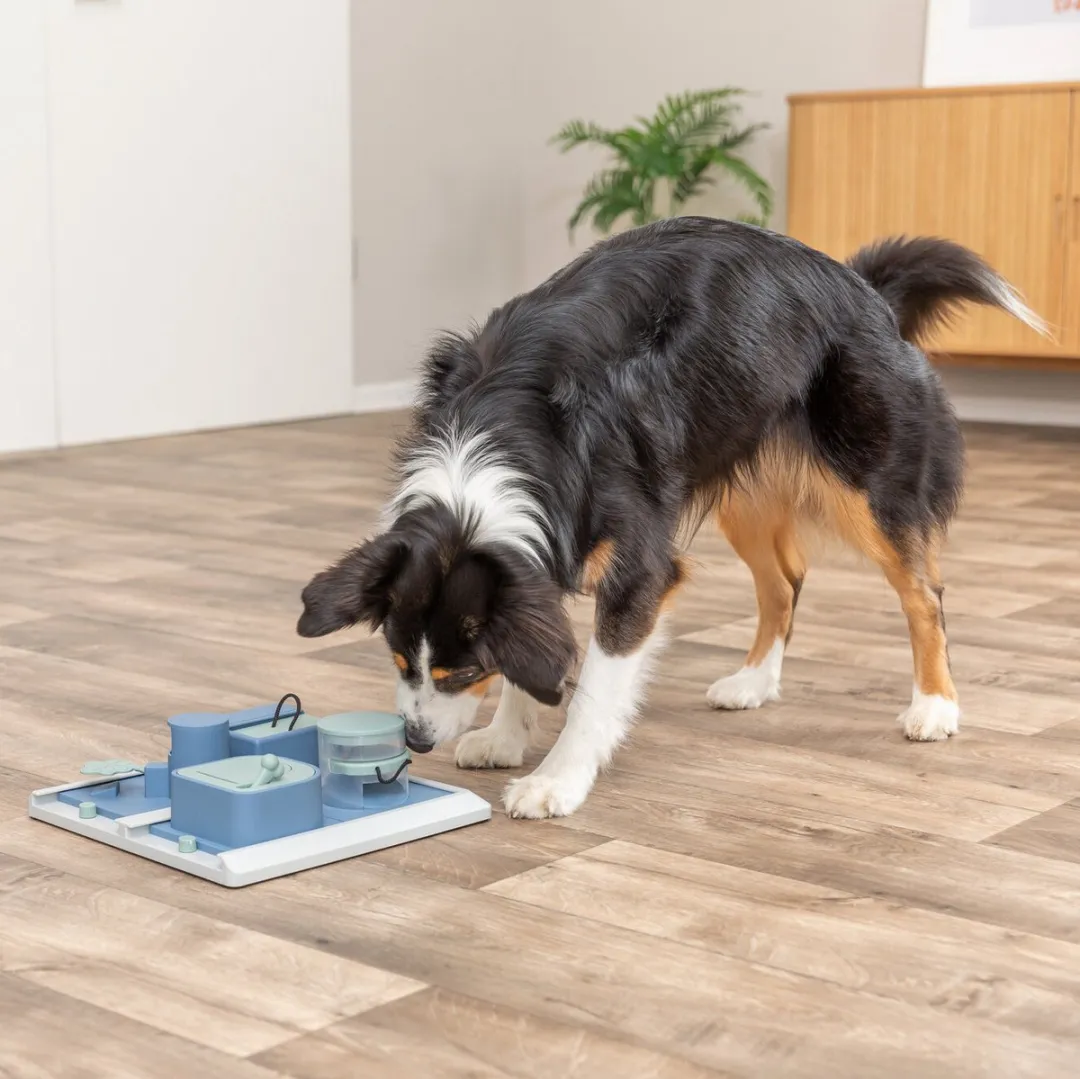 Trixie Dog Activity Poker Box 2 - 31x31cm - Blauw