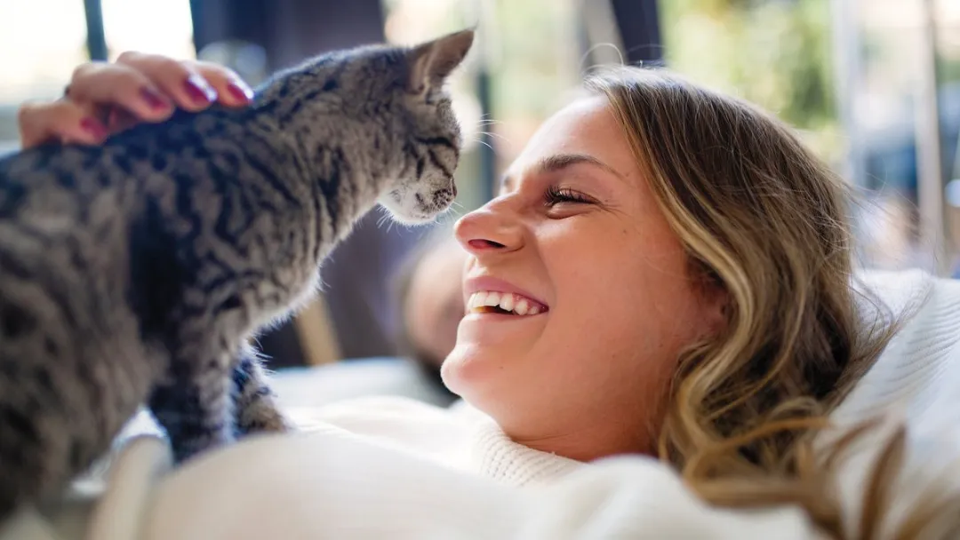 Philips Pet Slimme Voerautomaat PAW5320/02 - Grijs